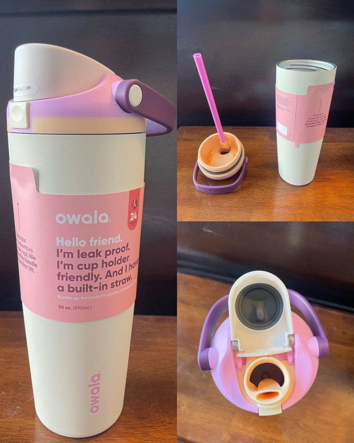 Owala FreeSip Sway 隔熱不鏽鋼吸管水瓶 [Blackpink Rose同款水瓶]