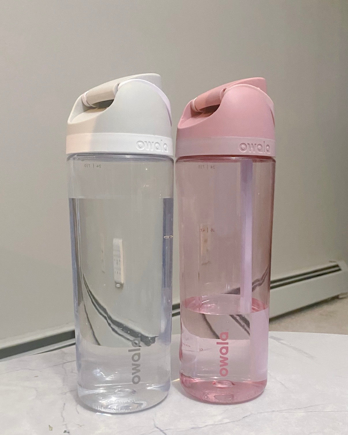 美國Owala FreeSip隔熱透明吸管水瓶 25oz