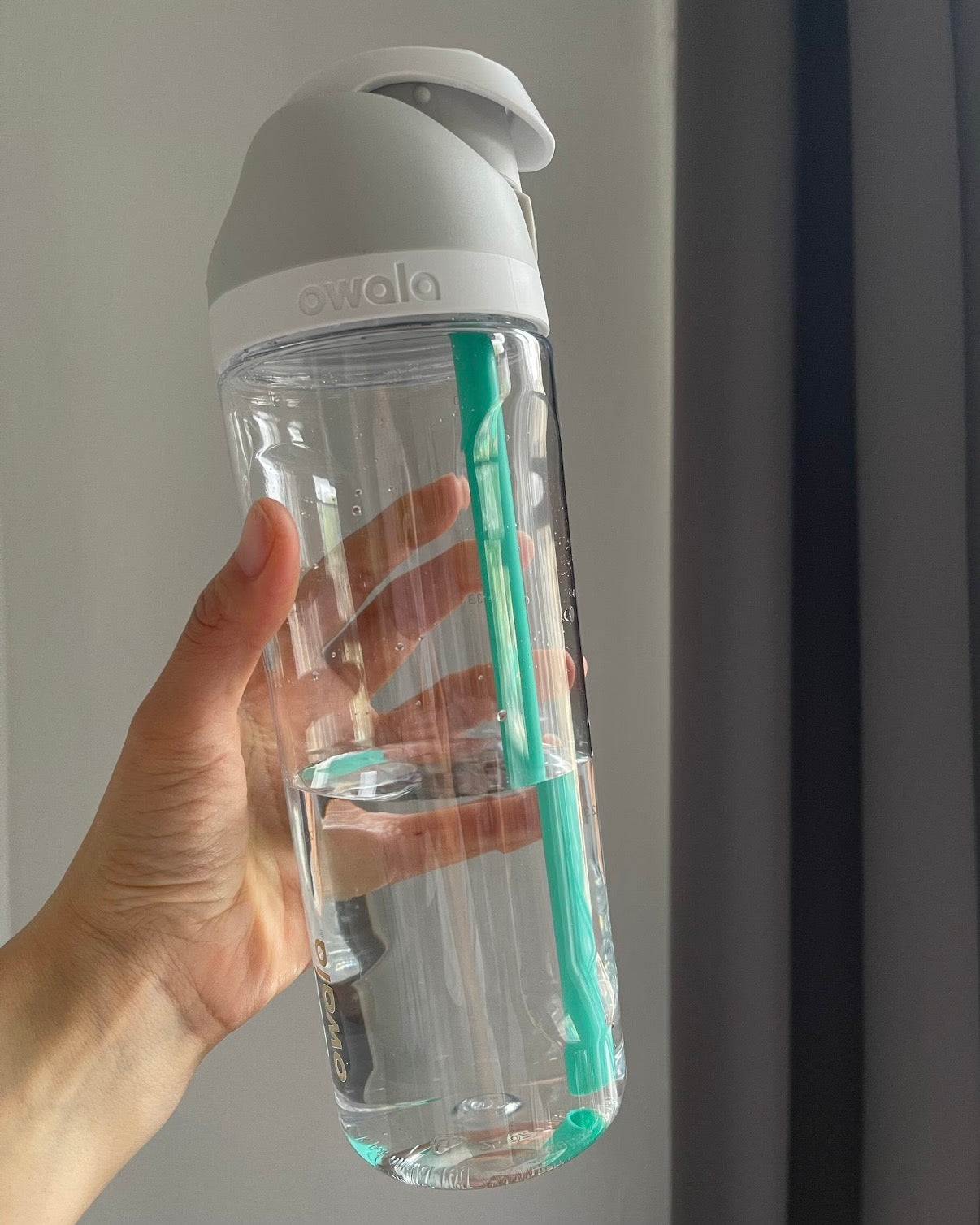 美國Owala FreeSip隔熱透明吸管水瓶 25oz